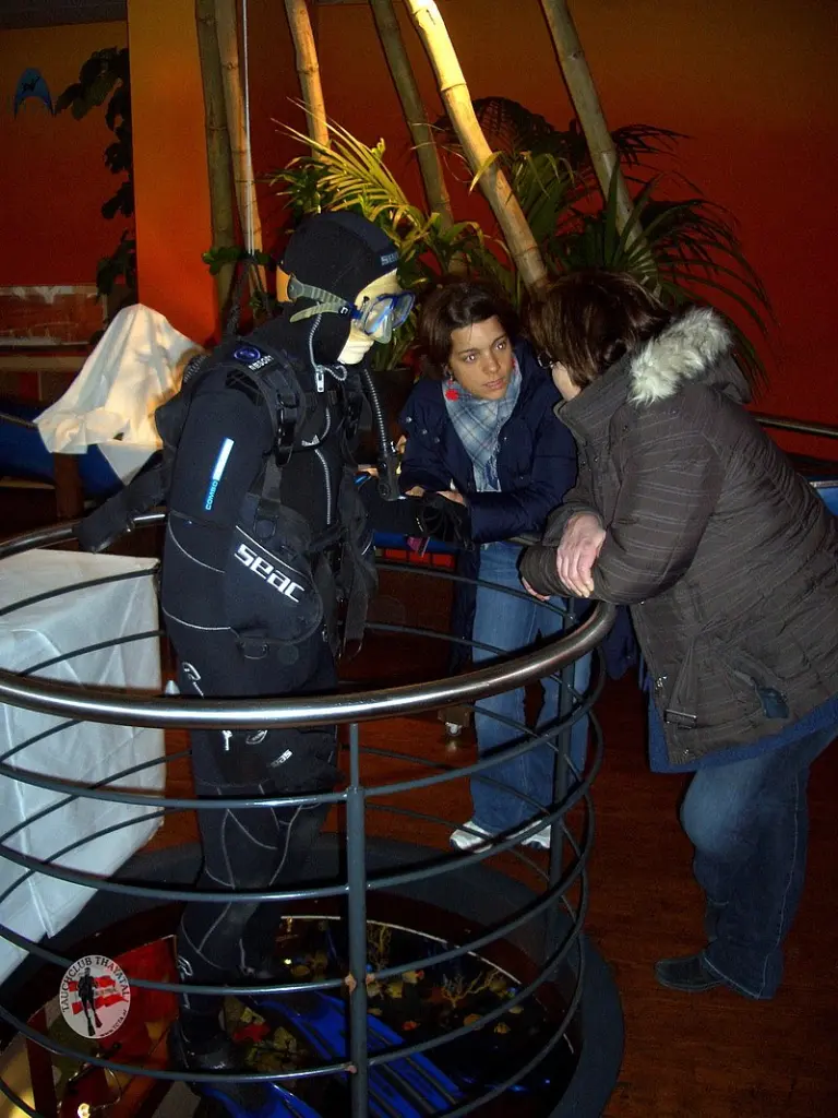 Aufkirchen Feber 2011