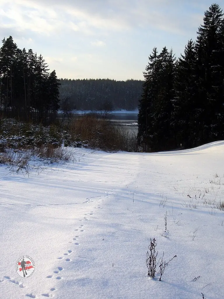 Christbaumversenken 2010