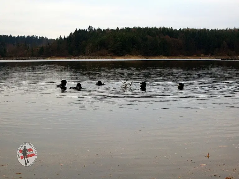 Christbaumversenken 2011