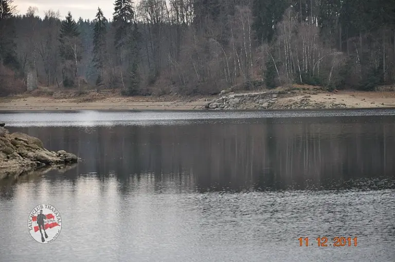 Christbaumversenken 2011