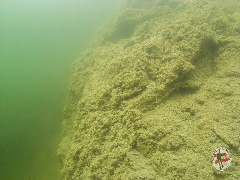 Erlaufsee Lunzersee 17.9.2015