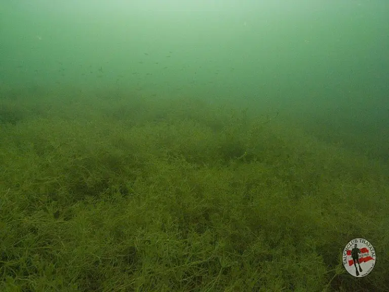 Erlaufsee Lunzersee 17.9.2015