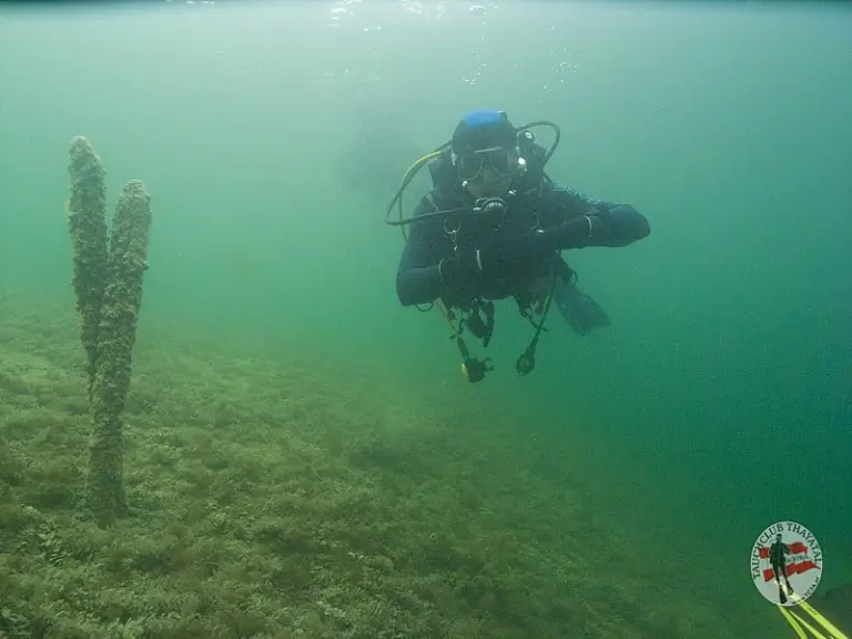 Erlaufsee Lunzersee 17.9.2015