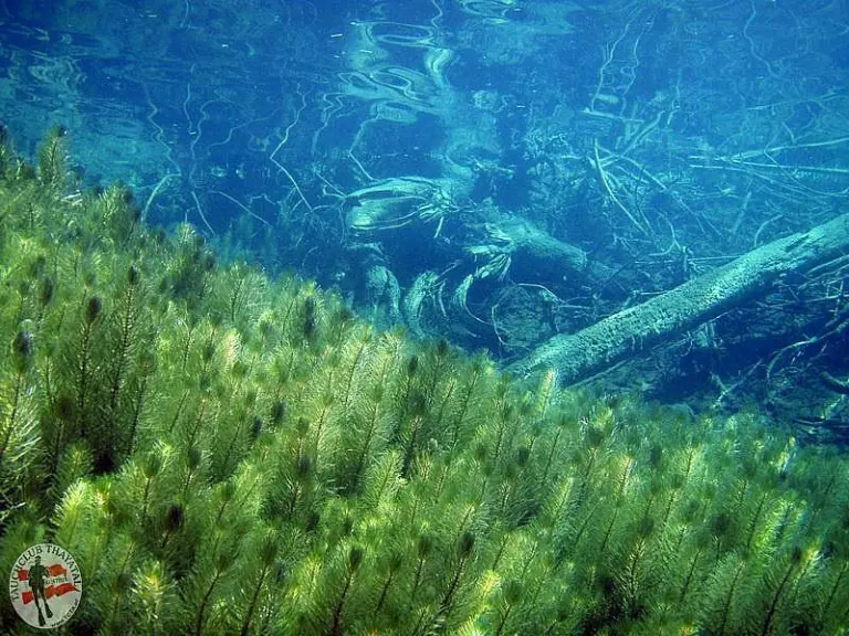 Fernstein und Samaranger See