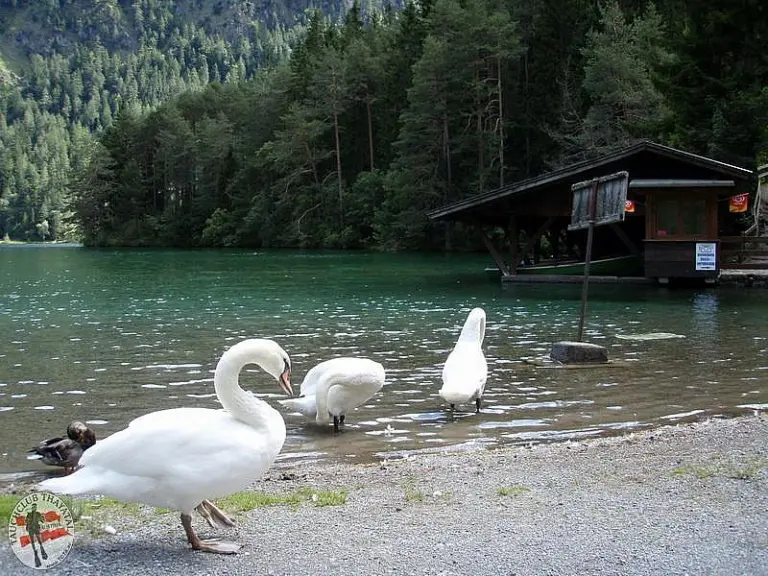 Fernstein und Samaranger See