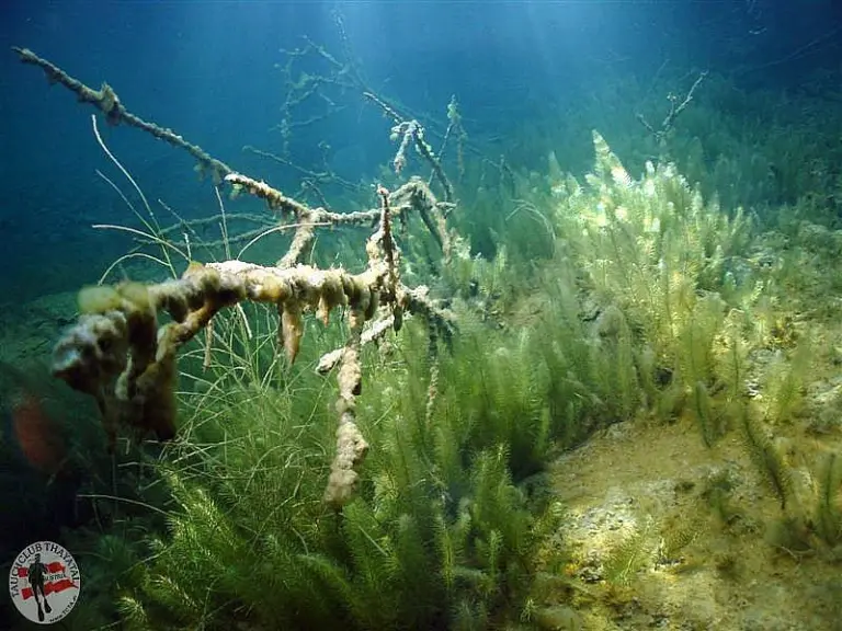 Fernstein und Samaranger See