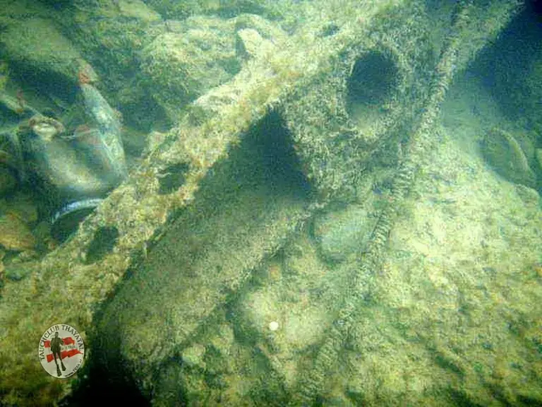 Flusstauchen Enns 2010
