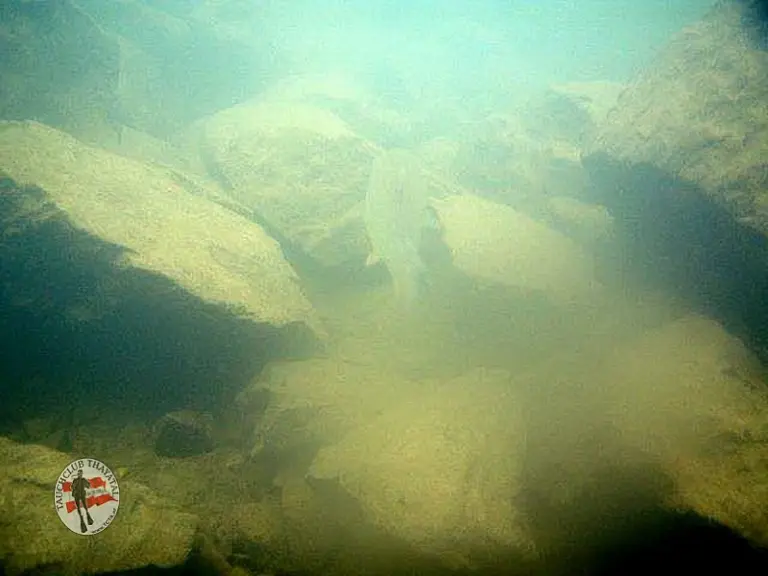 Flusstauchen Enns 2010