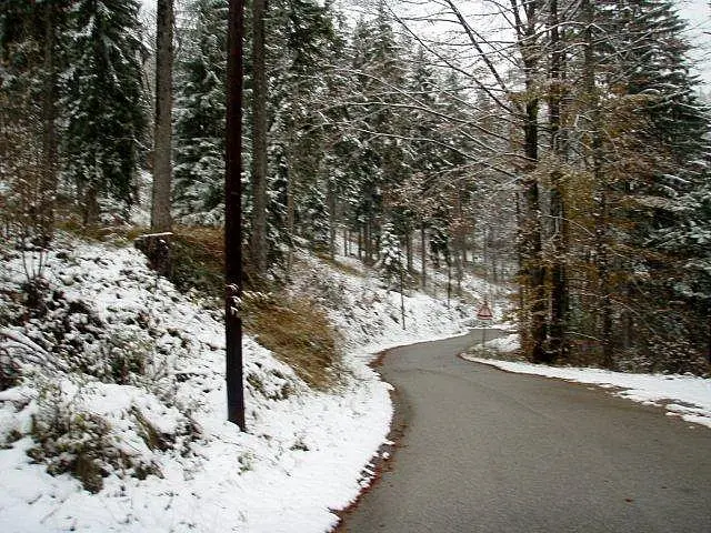 Flusstauchen Schwarza 2010