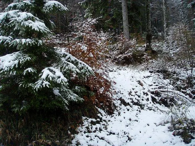 Flusstauchen Schwarza 2010