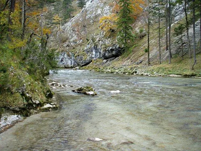 Flusstauchen Schwarza 2010