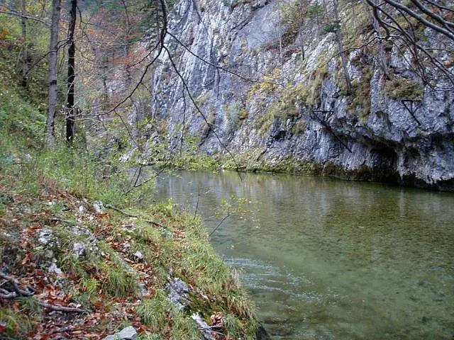 Flusstauchen Schwarza 2010