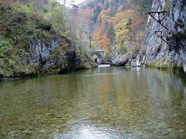 Flusstauchen Schwarza 2010