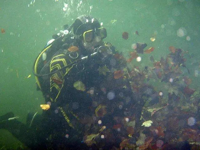Flusstauchen Schwarza 2010
