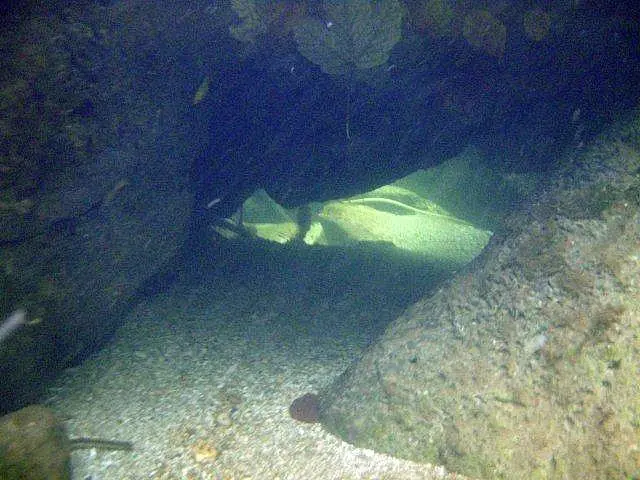 Flusstauchen Schwarza 2010