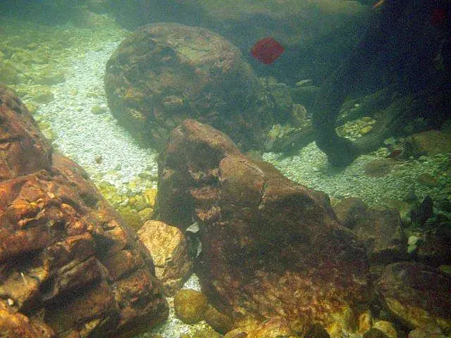 Flusstauchen Schwarza 2010