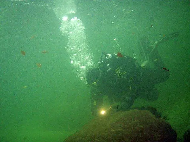 Flusstauchen Schwarza 2010