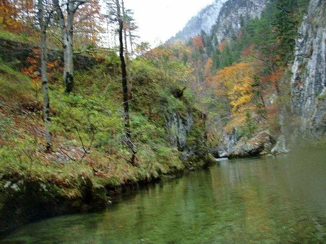 Flusstauchen Schwarza 2010