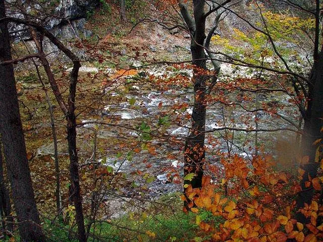 Flusstauchen Schwarza 2010