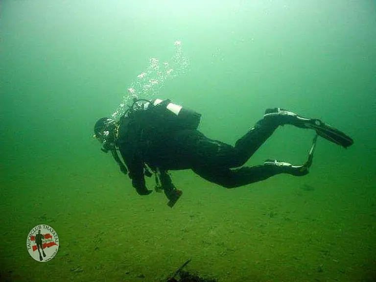 Flusstauchen Ybbs 2010