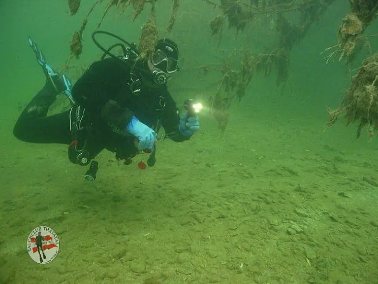 Flusstauchen Ybbs 2010