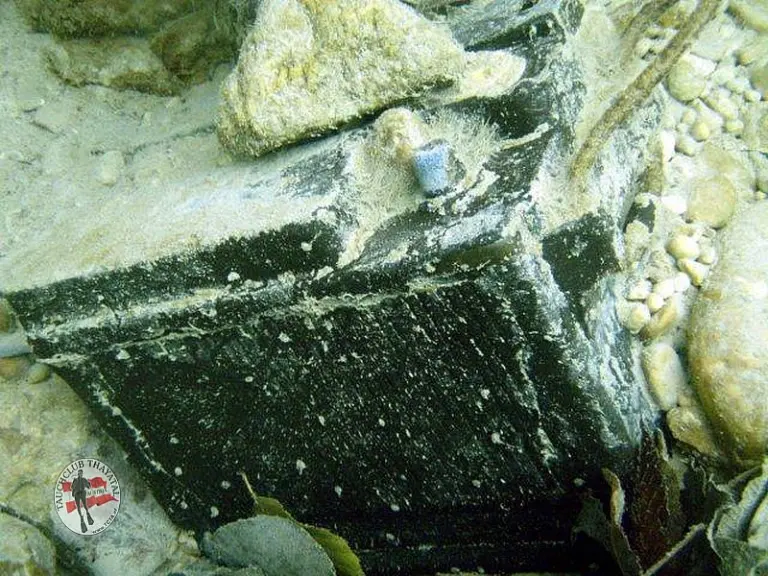 Flusstauchen Ybbs 2010