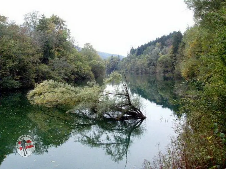 Flusstauchen Ybbs 2010