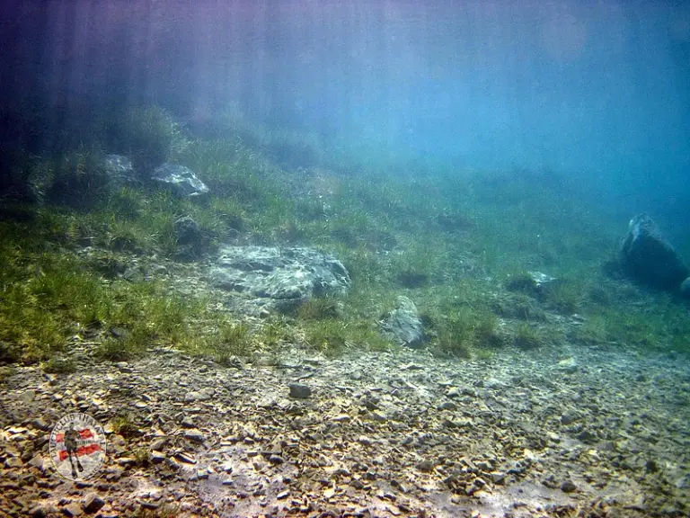 Grüblsee und Grüner See 2012