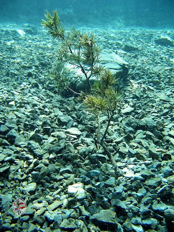 Grüblsee und Grüner See 2012