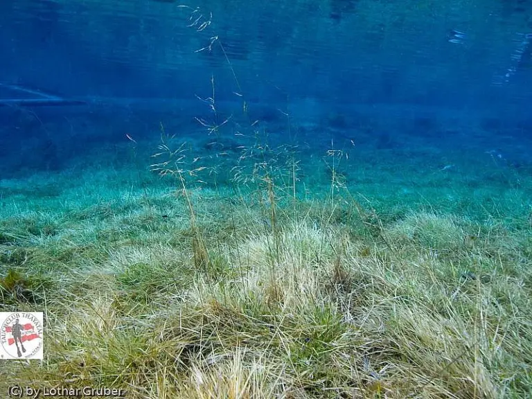 Grüner See