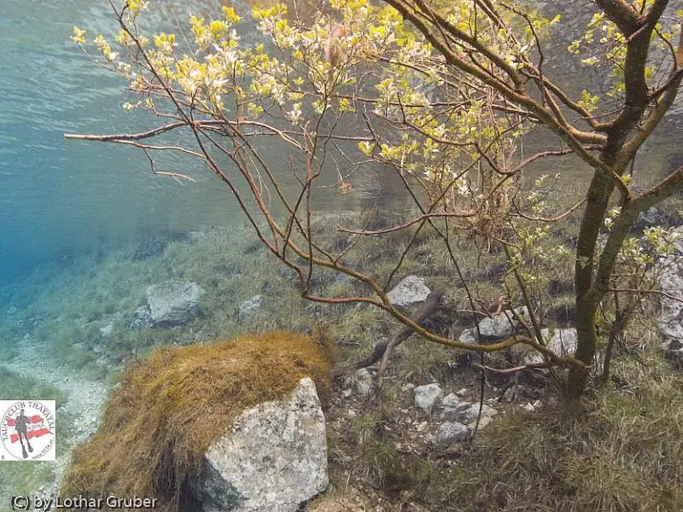 Grüner See