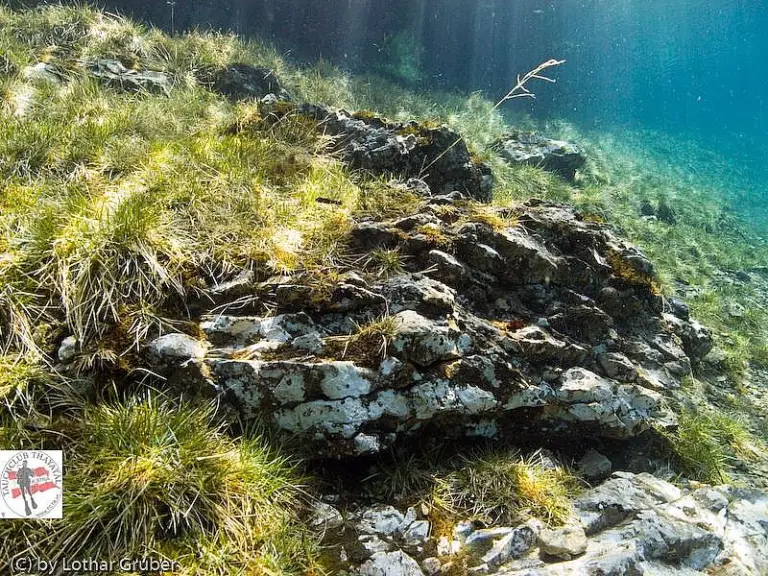 Grüner See