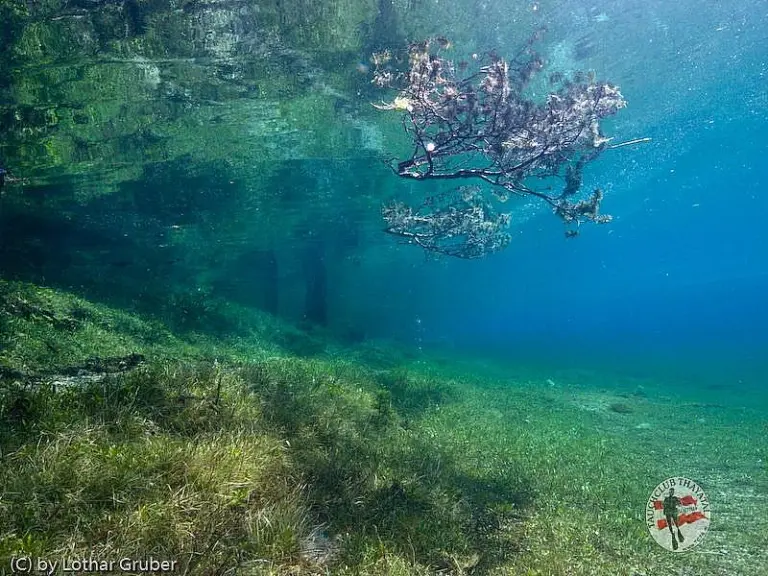 Grüner See