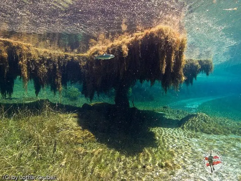 Grüner See