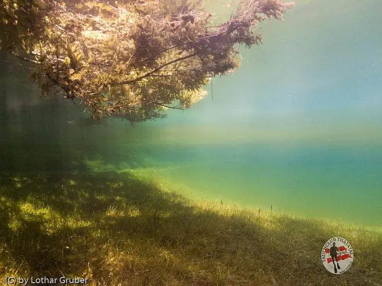 Grüner See