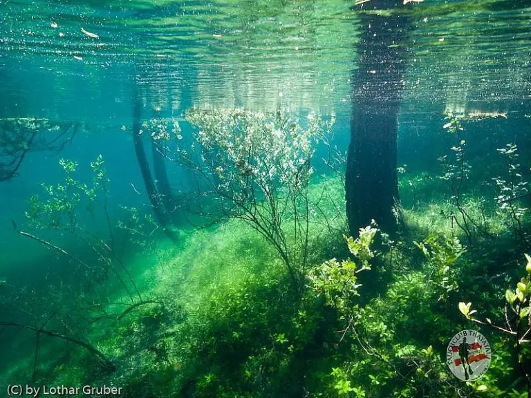 Grüner See