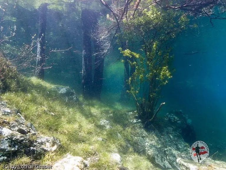 Grüner See