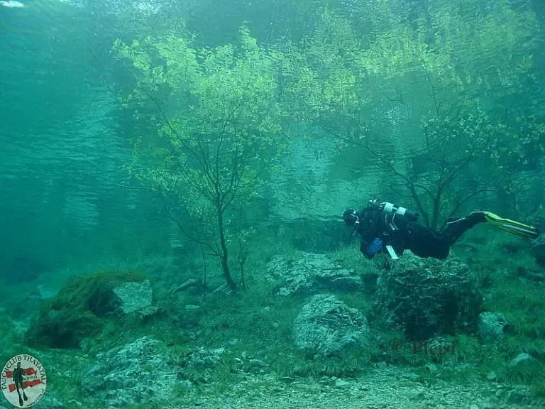 Grüner See II