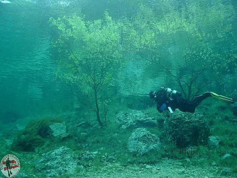 Grüner See II
