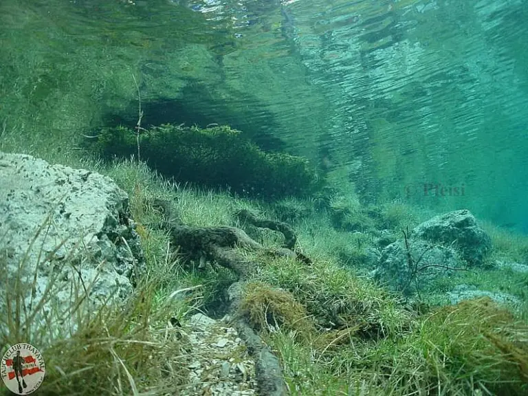 Grüner See II