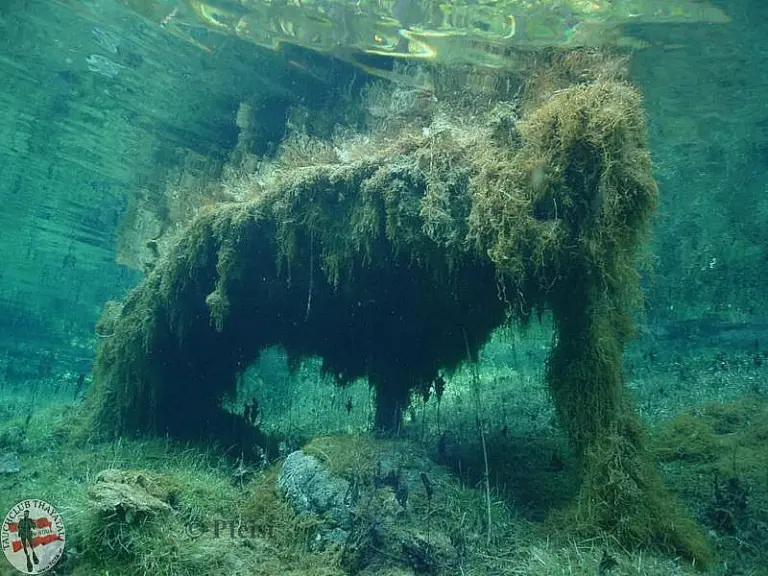 Grüner See II