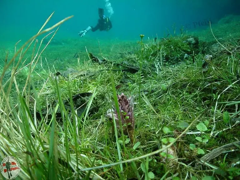 Grüner See II