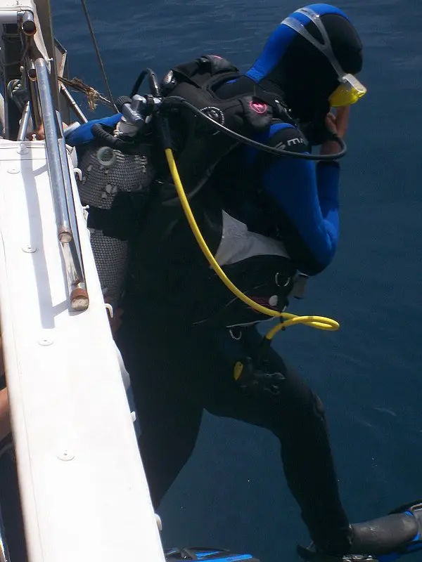 First Aid für Hazardous Marine Life Injuries (HMLI)