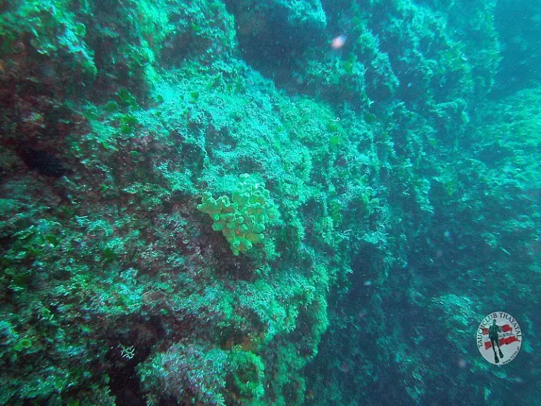 Tauchausfahrt nach KRK 2014