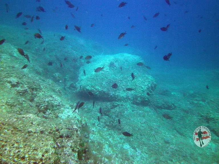 Tauchausfahrt nach KRK 2014