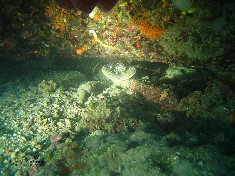Kroatien 2013 - Kolm Roland