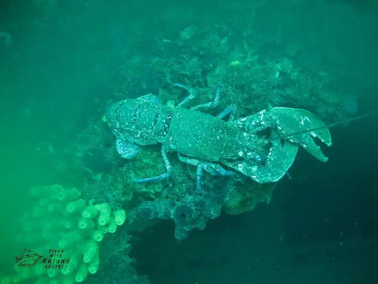 Kroatien 2013 - Kolm Roland