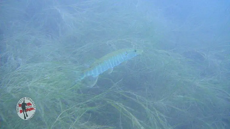 Open Water Diver-Kurs 16-09-2012