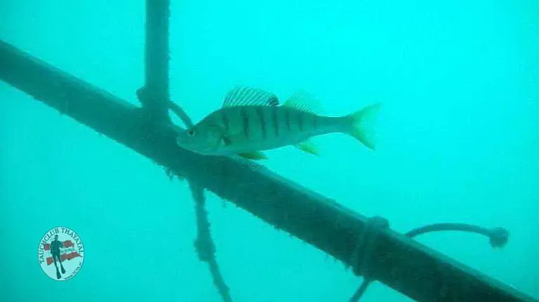 Open Water Diver-Kurs 16-09-2012
