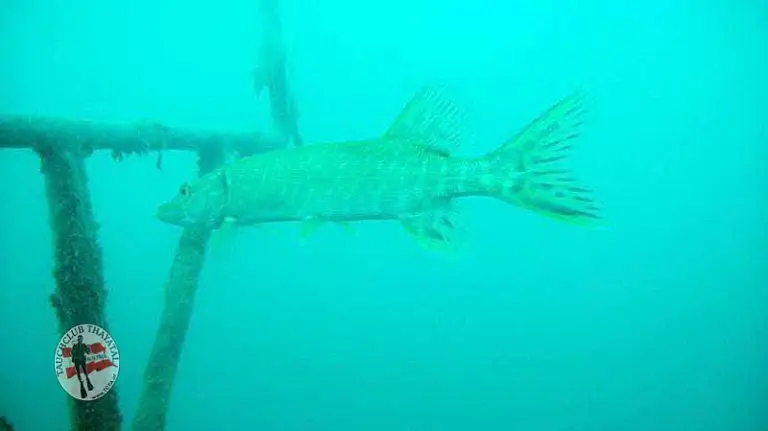 Open Water Diver-Kurs 16-09-2012